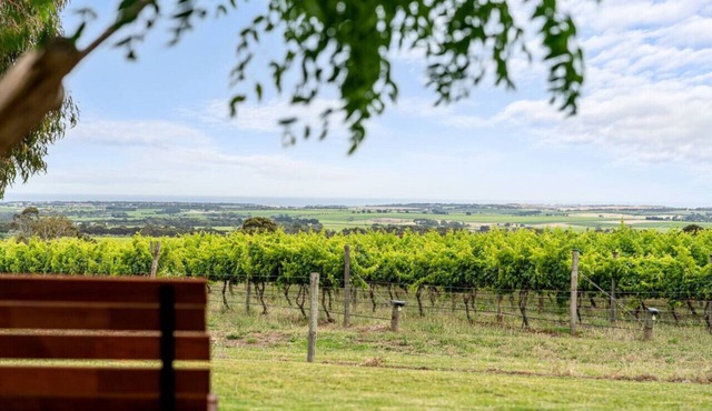 Willunga House - A Scenic Wine Region Stay in Willunga South