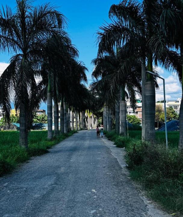Dehradun House | Gopinath Homestays