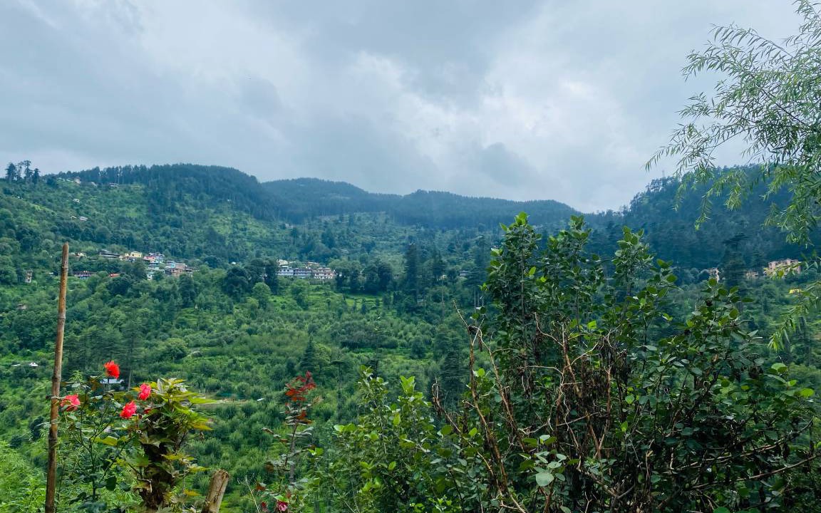 Photo of Others in Kullu