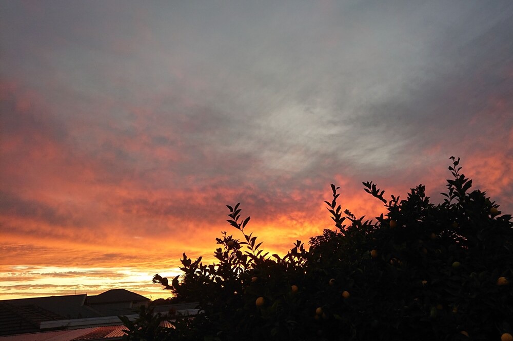 Photo of Others in Lorne