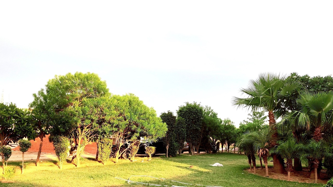 Photo of Outdoor in Mathura