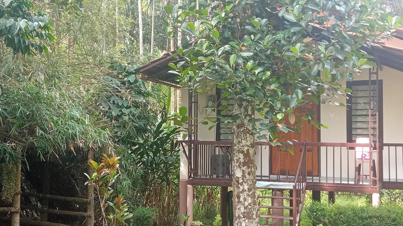 Photo of Patio Balcony in Vayittiri
