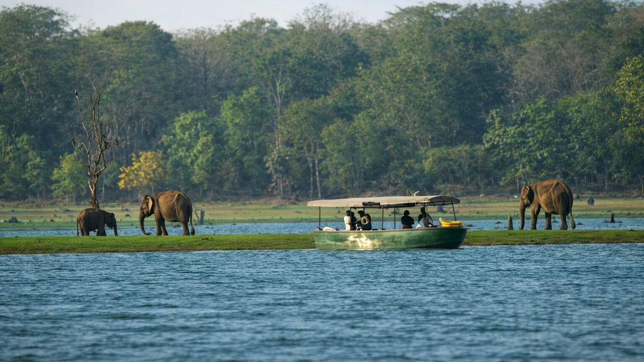 Photo of Others in Bavali
