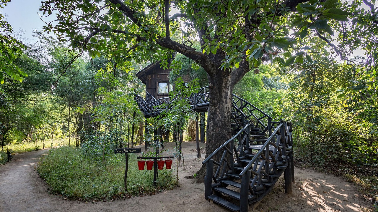 Photo of Outdoor in Tala