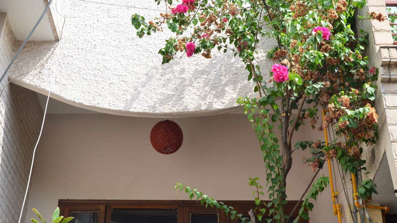 Photo of Outdoor in Chandigarh