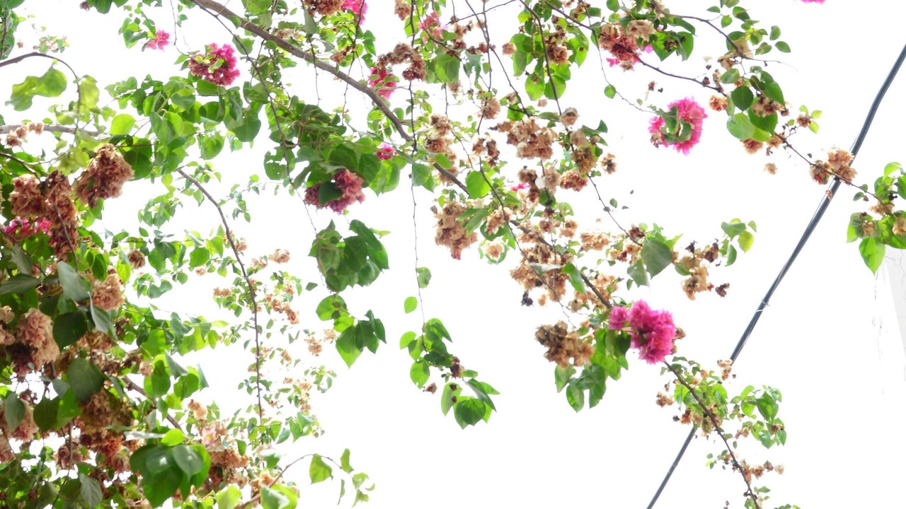 Photo of Outdoor in Chandigarh