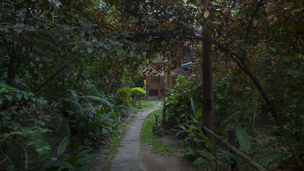 Photo of Outdoor in Amalavayal
