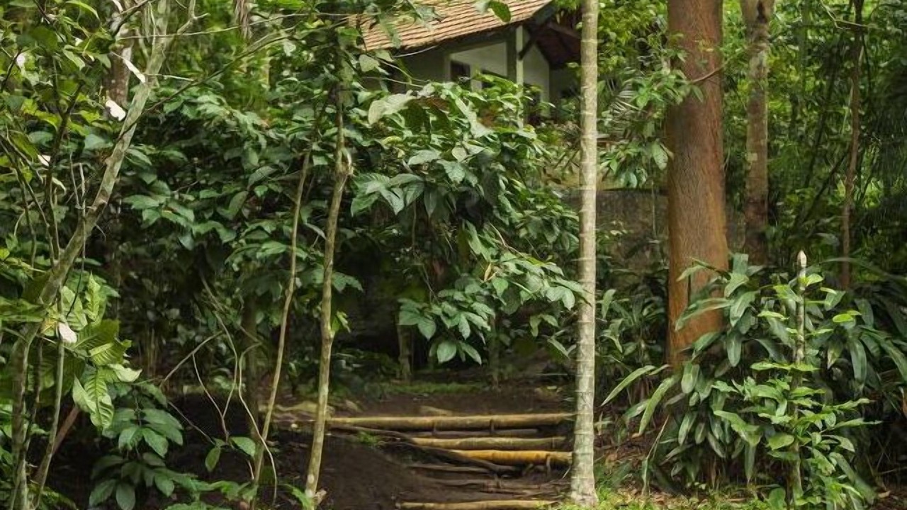 Photo of Outdoor in Amalavayal