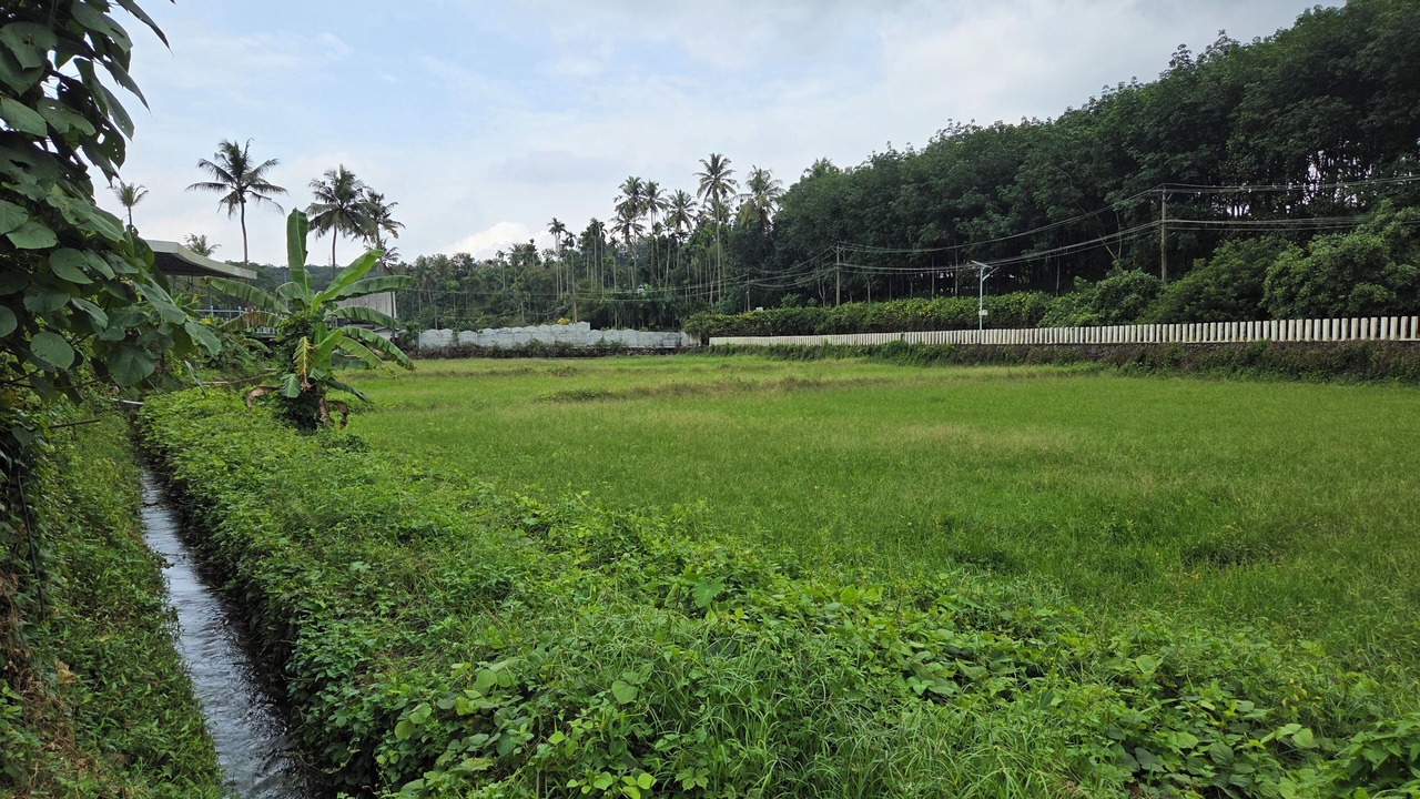 Photo of Outdoor in Perumbavoor