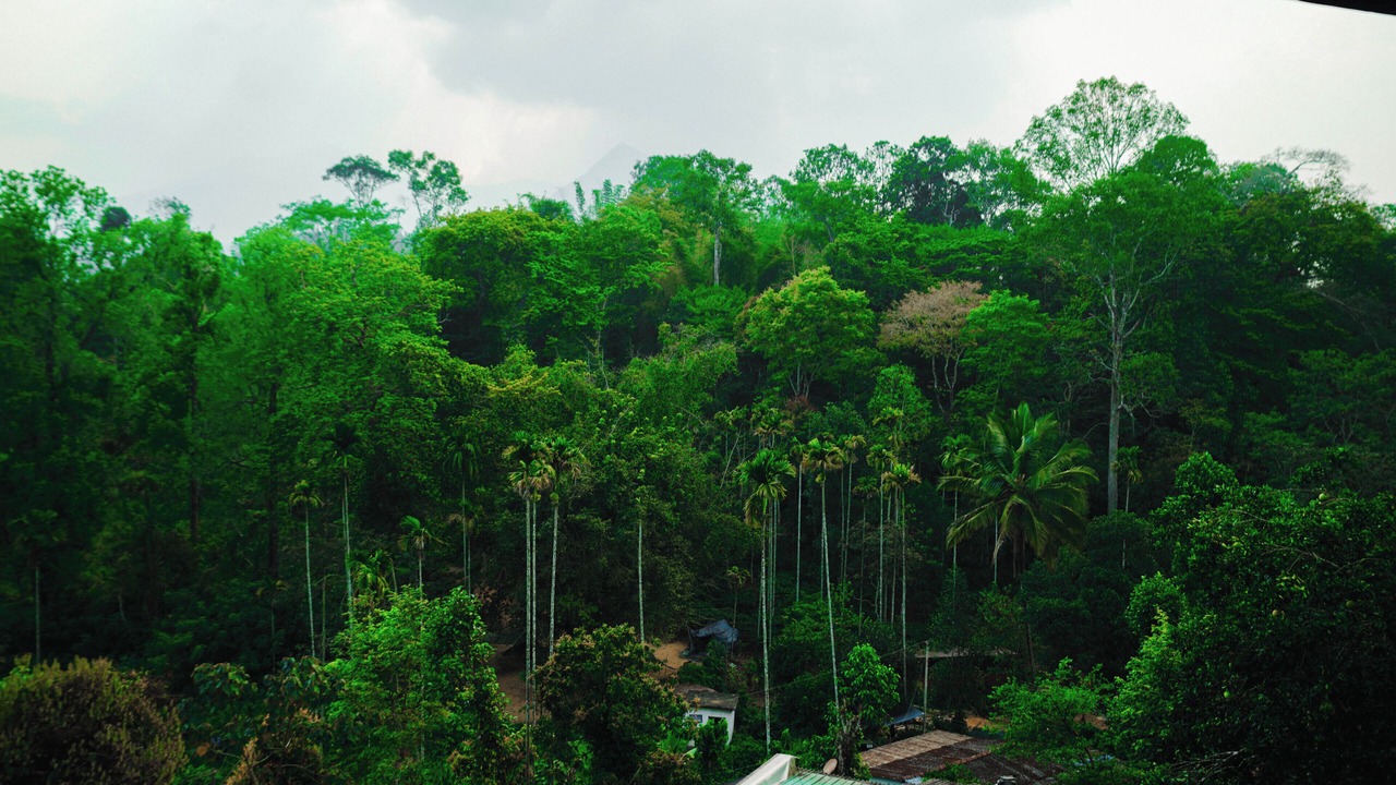 Photo of Outdoor in Kottappadi part