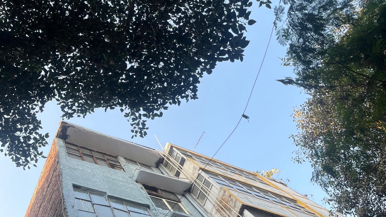 Photo of Outdoor in Kalkaji