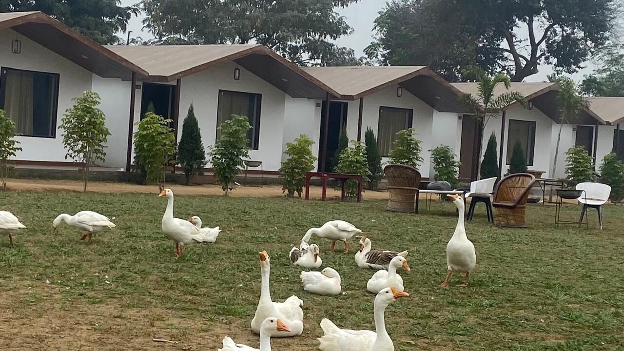 Photo of Outdoor in Bhiwadi