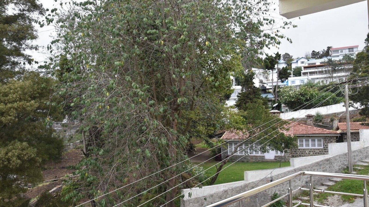 Photo of Outdoor in Kodaikanal