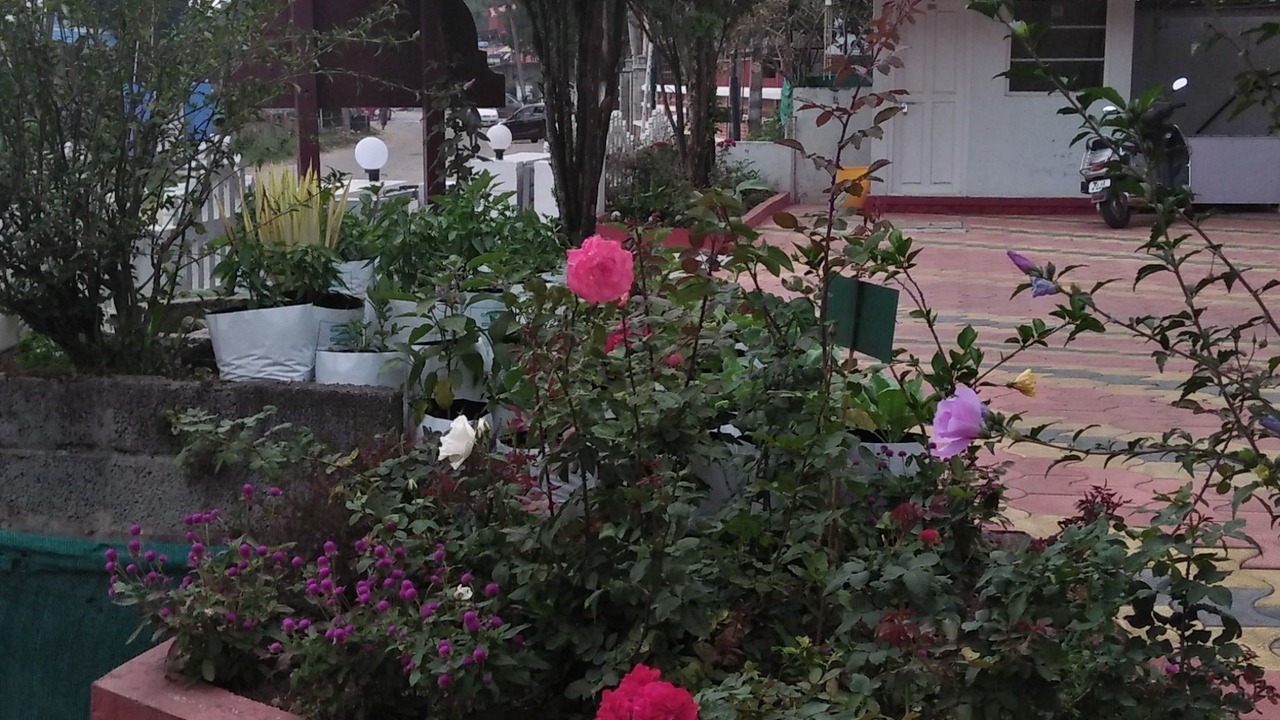 Photo of Outdoor in Chinnakanal