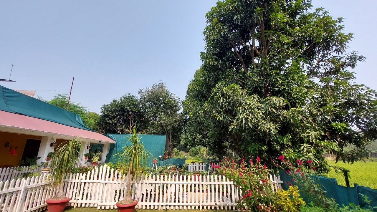 Photo of Outdoor in Mohanlalganj