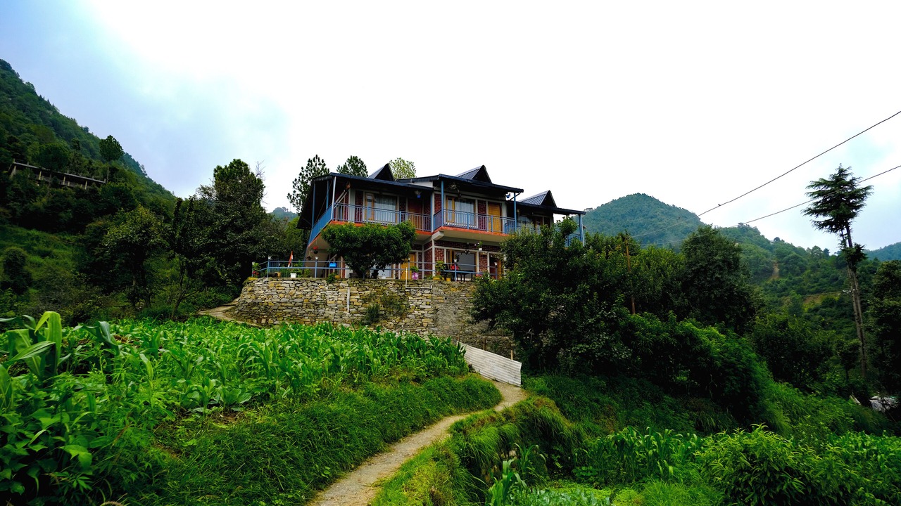 Photo of Outdoor in Kaul