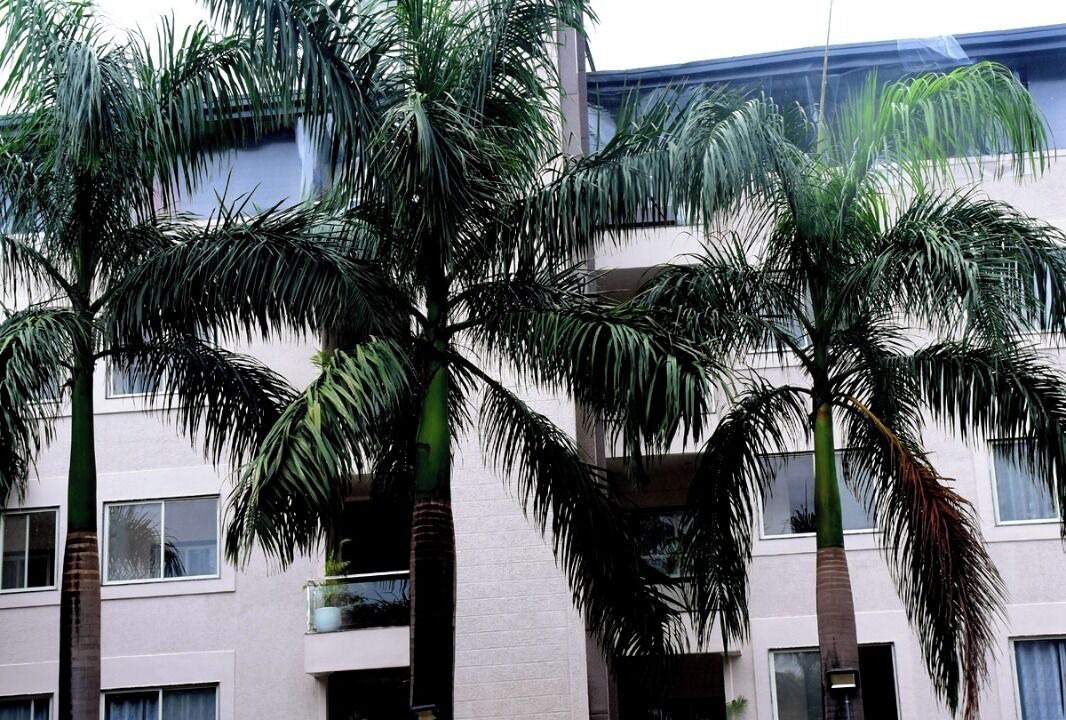 Photo of Outdoor in Hoshangabad