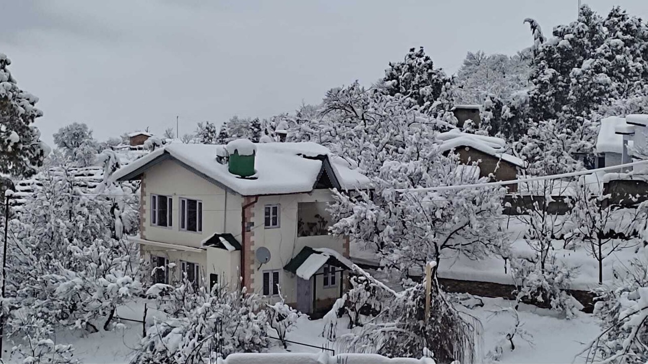 Photo of Outdoor in Kaul