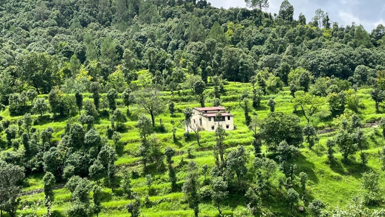 Photo of Others in Kaul