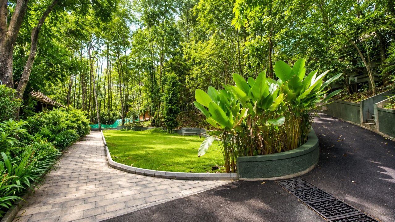 Photo of Outdoor in Sulthan Bathery
