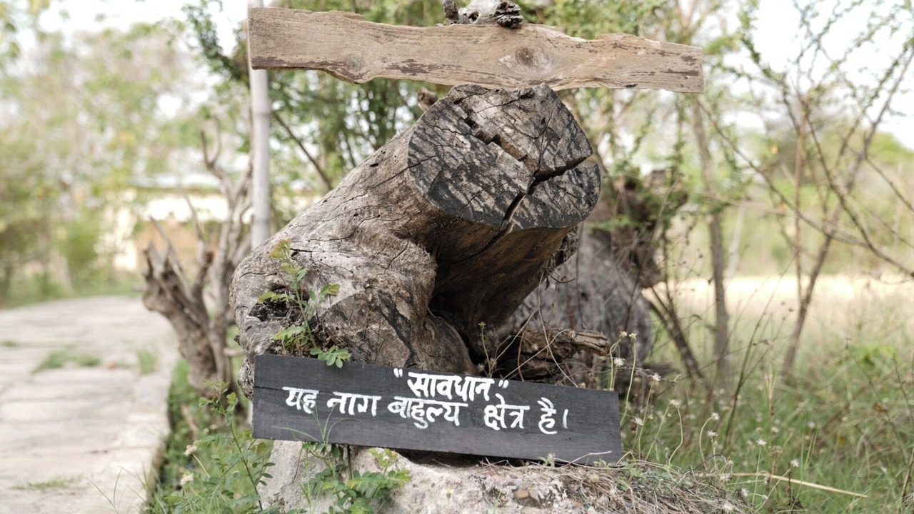 Photo of Others in Chhatarpur