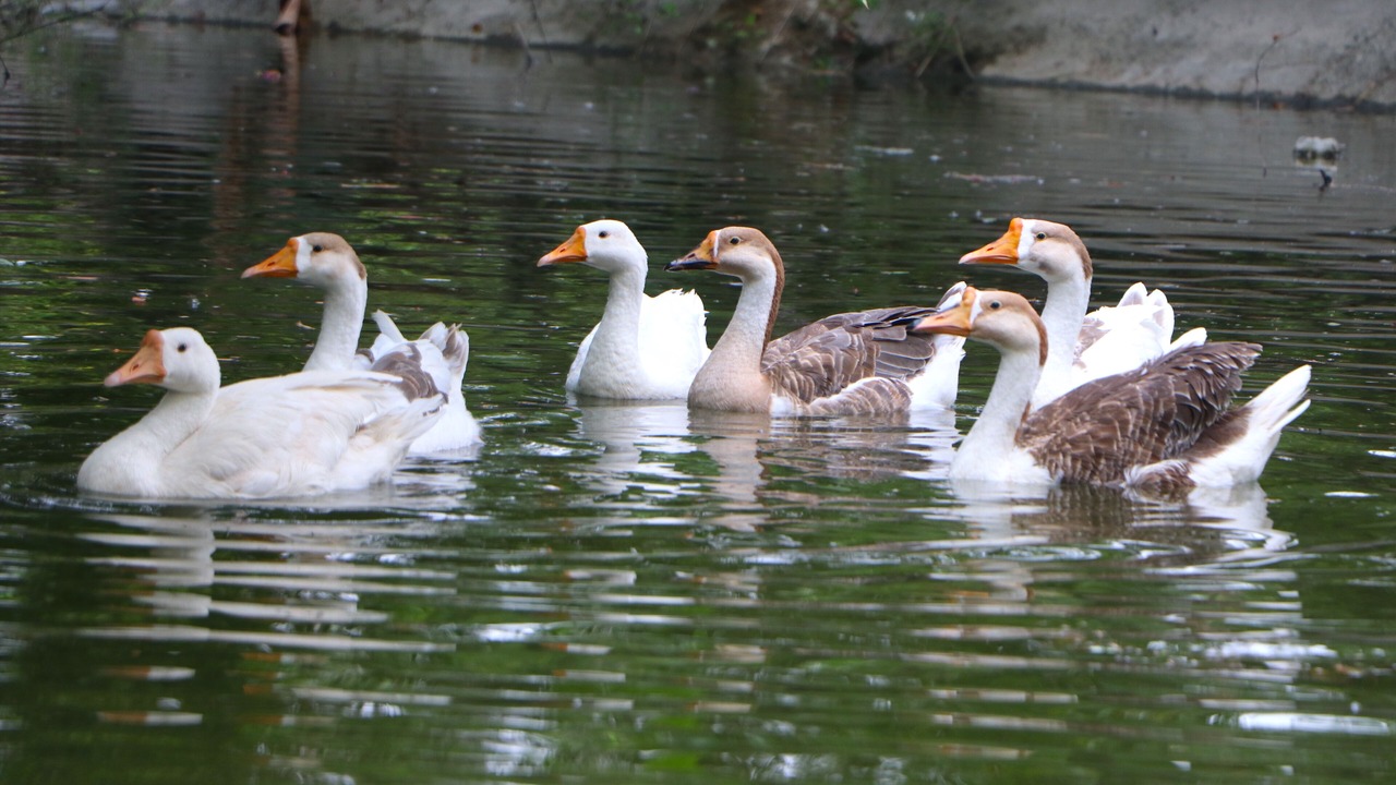 Photo of Others in Kanpur