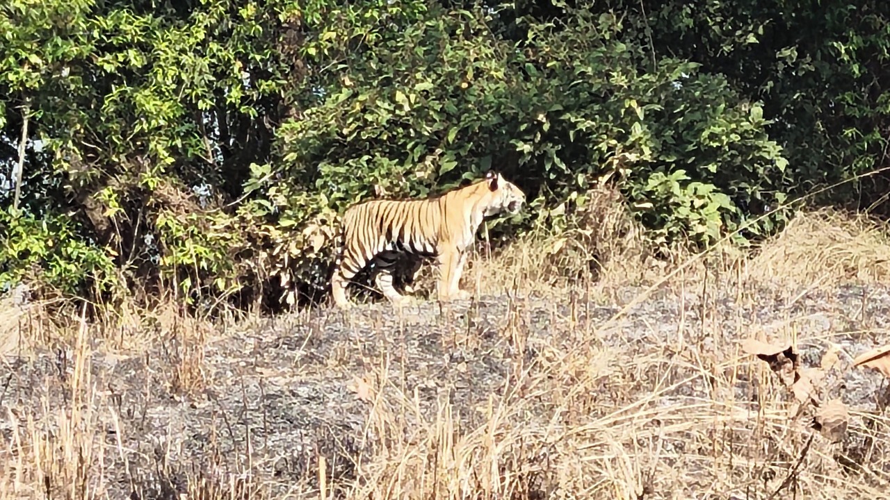 Photo of Outdoor in Khajuraho