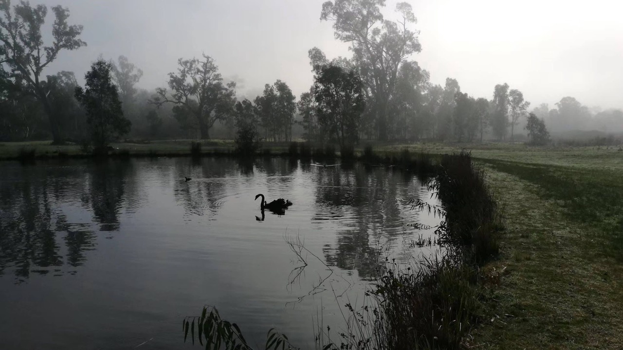 Photo of Outdoor in Acheron