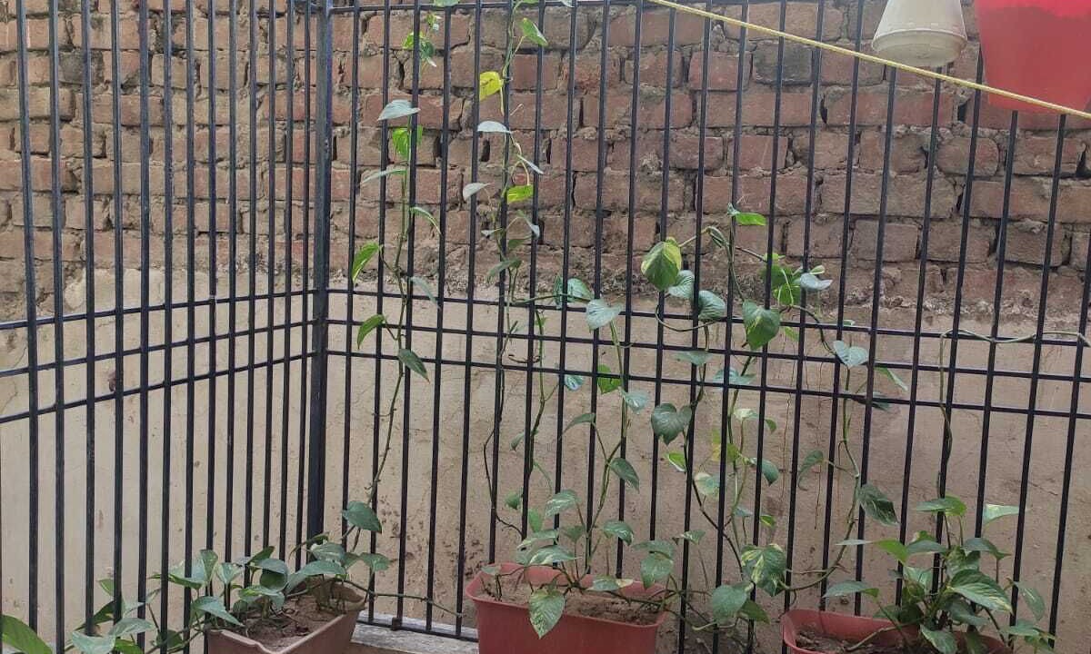 Photo of Outdoor in Varanasi