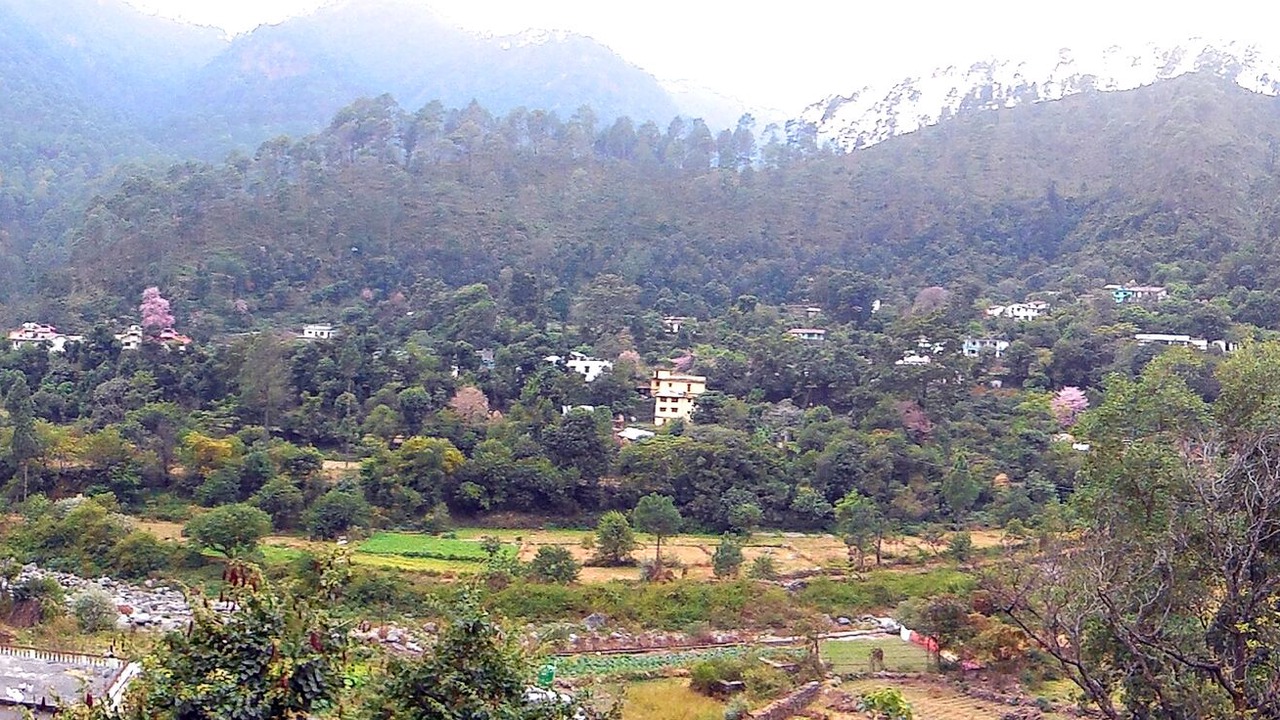 Photo of Outdoor in Kaul