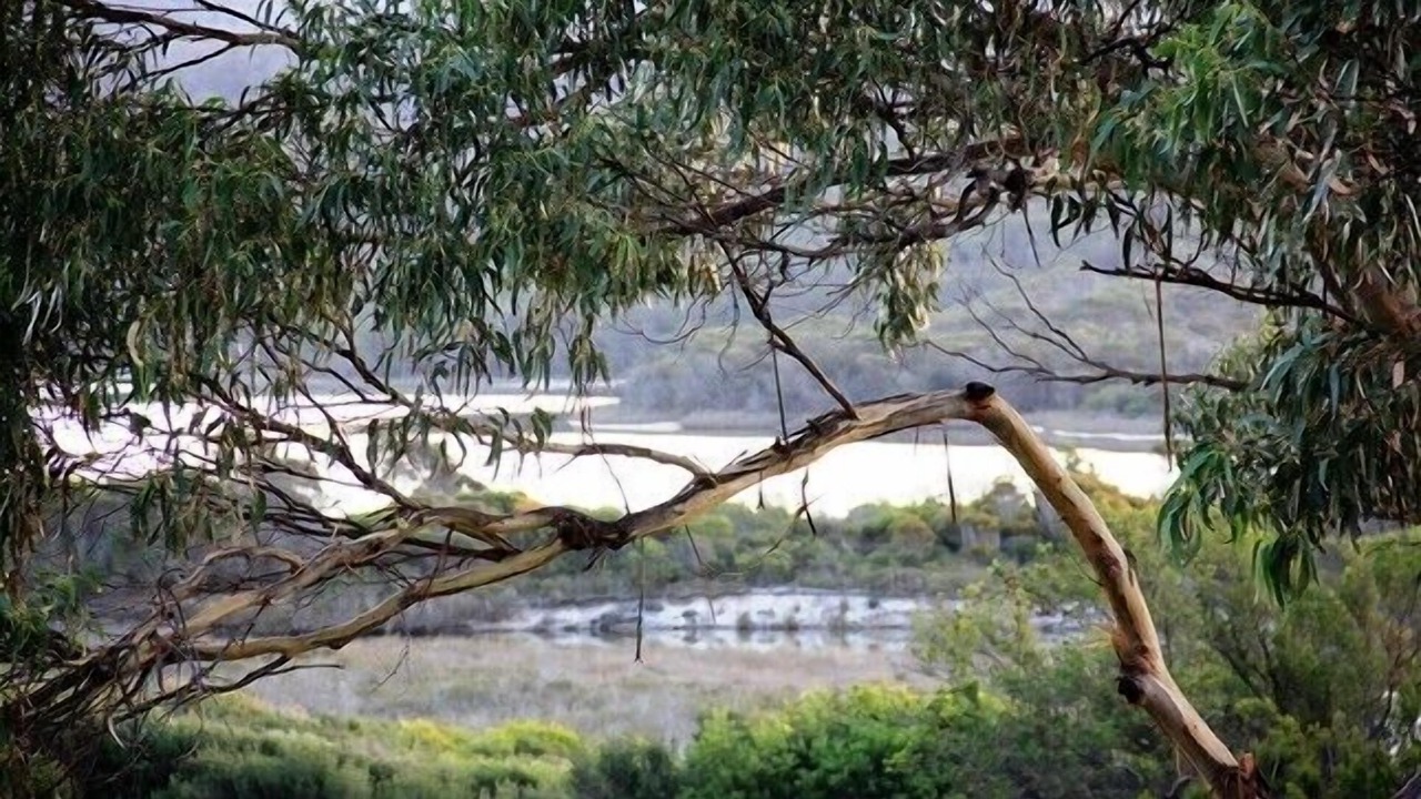 Photo of Outdoor in Binalong Bay