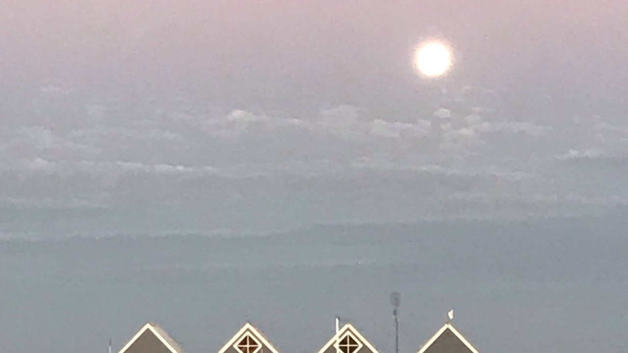 Photo of Others in West Busselton