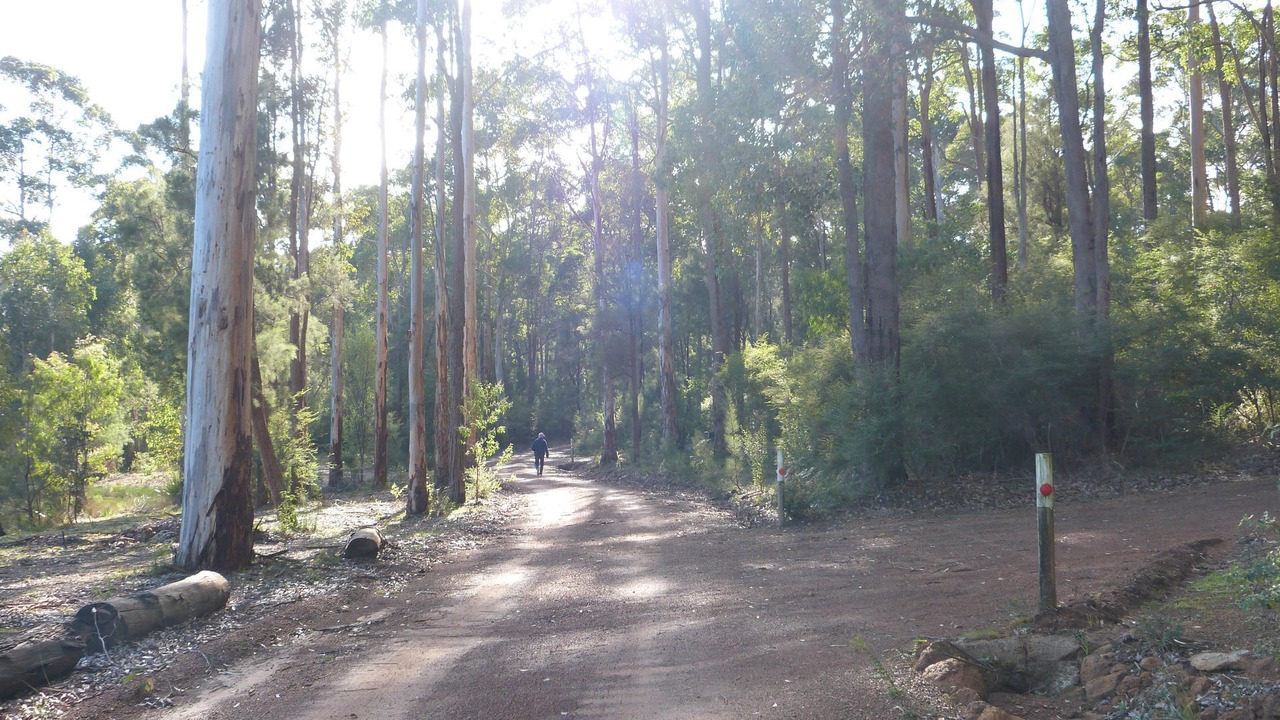 Photo of Outdoor in Pemberton