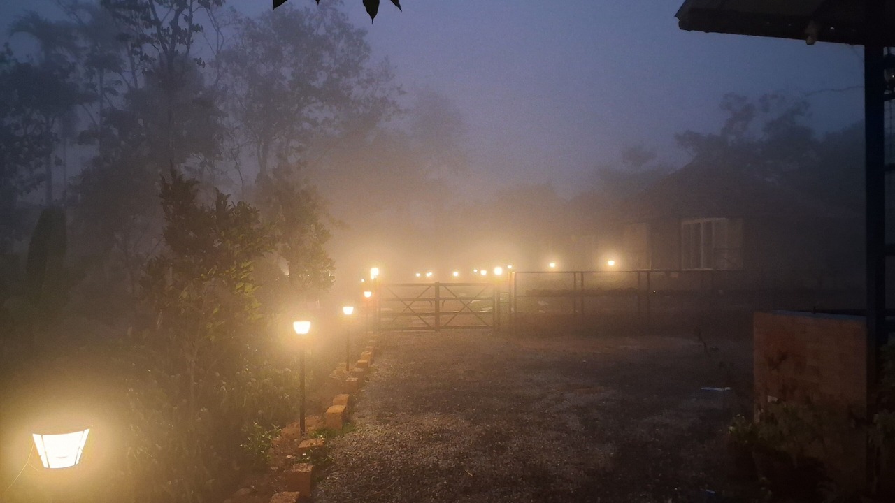 Photo of Outdoor in Mananthavady