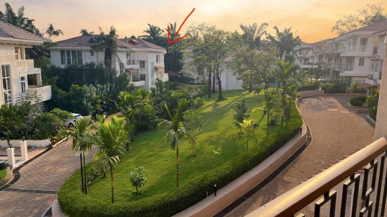 Photo of Outdoor in Chikhli