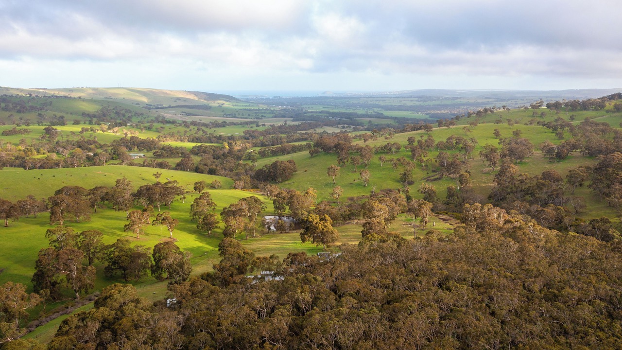 Photo of Others in Hindmarsh Valley