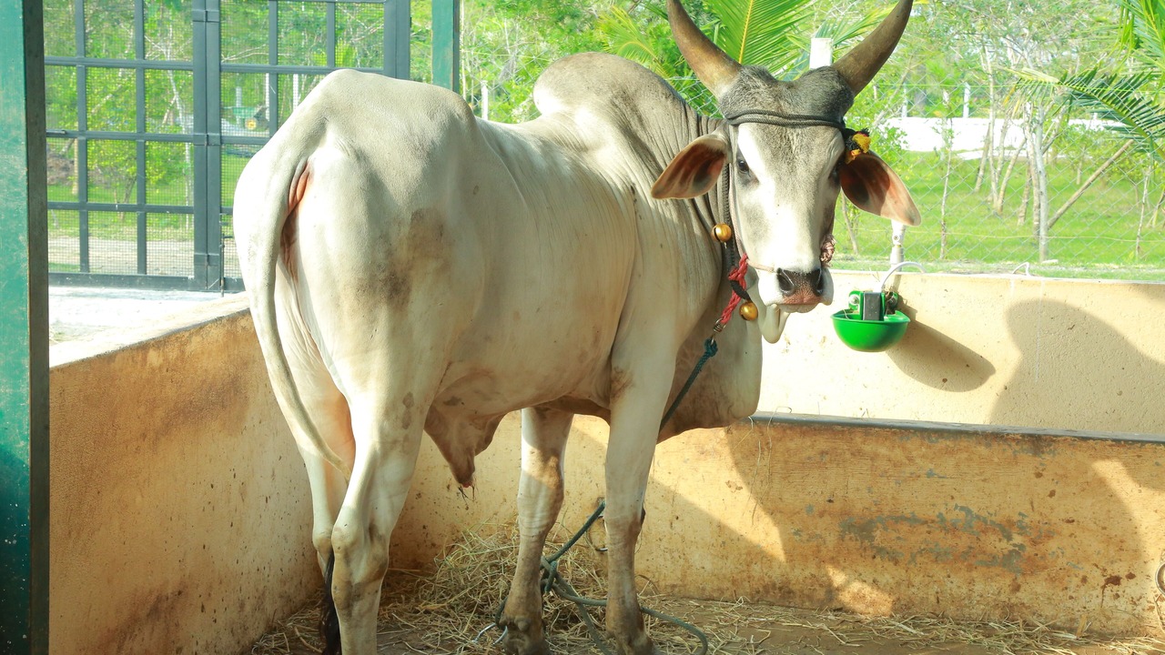 Photo of Others in Madurantakam
