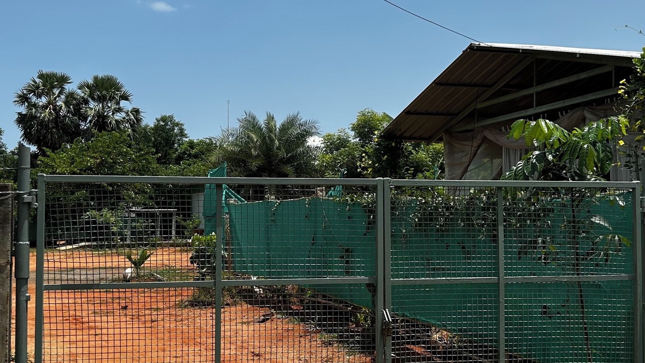 Photo of Outdoor in Auroville