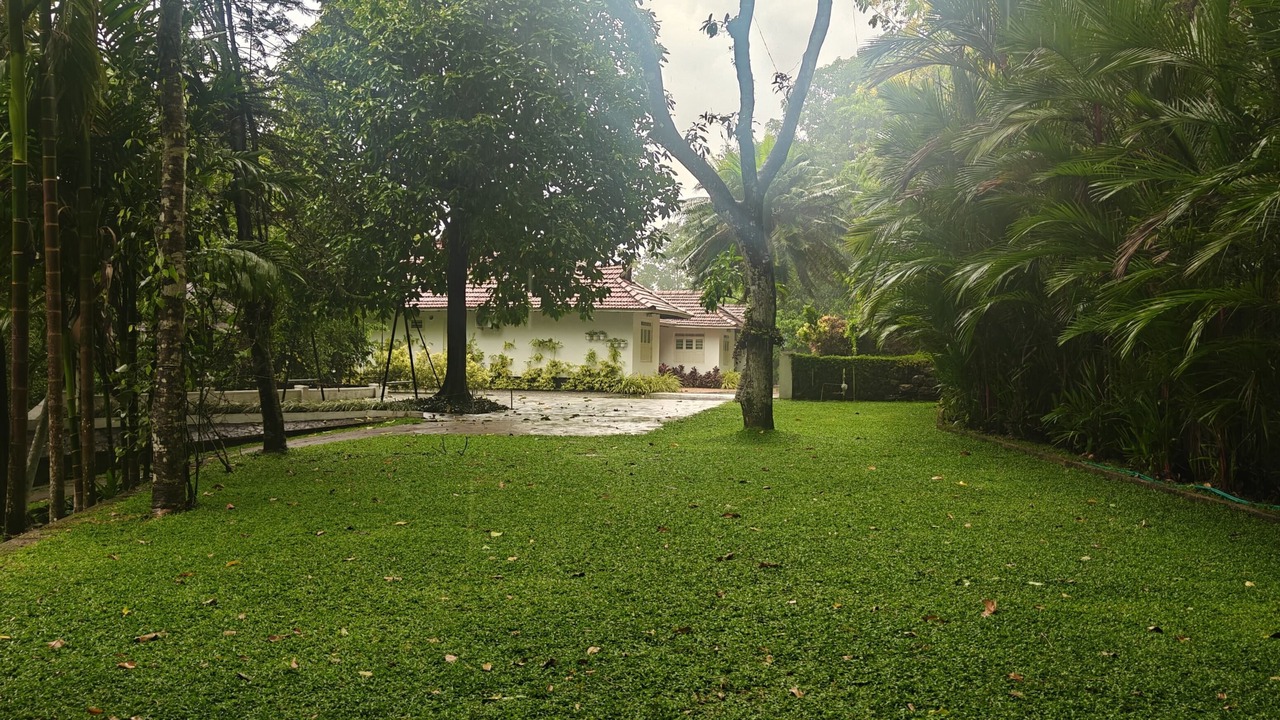 Photo of Outdoor in Pala