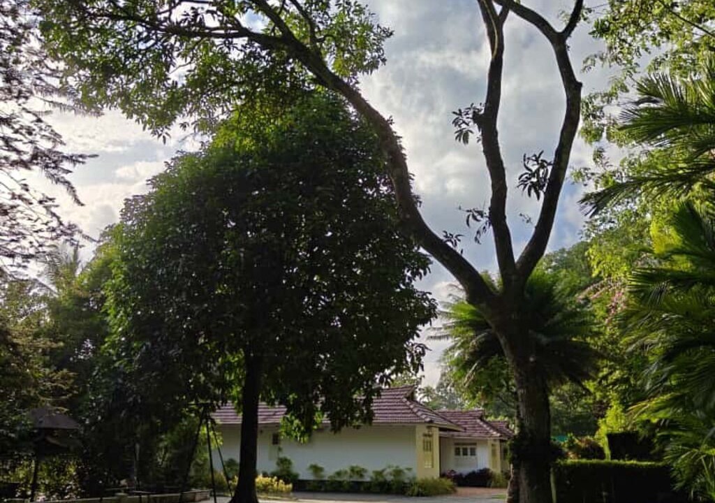 Photo of Outdoor in Pala