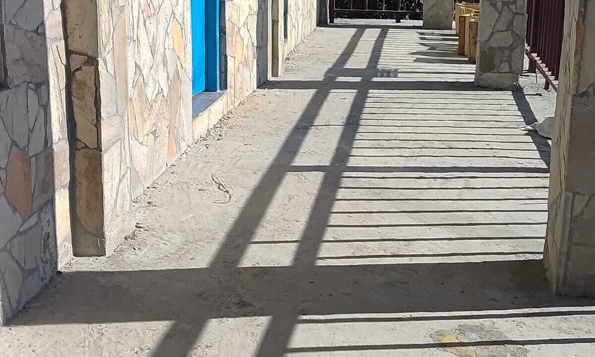 Photo of Outdoor in Almora