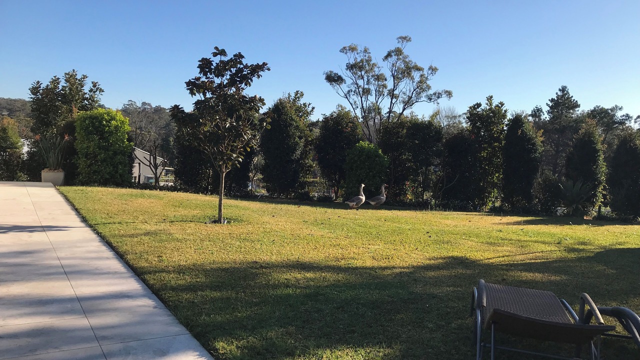 Photo of Outdoor in Duffys Forest
