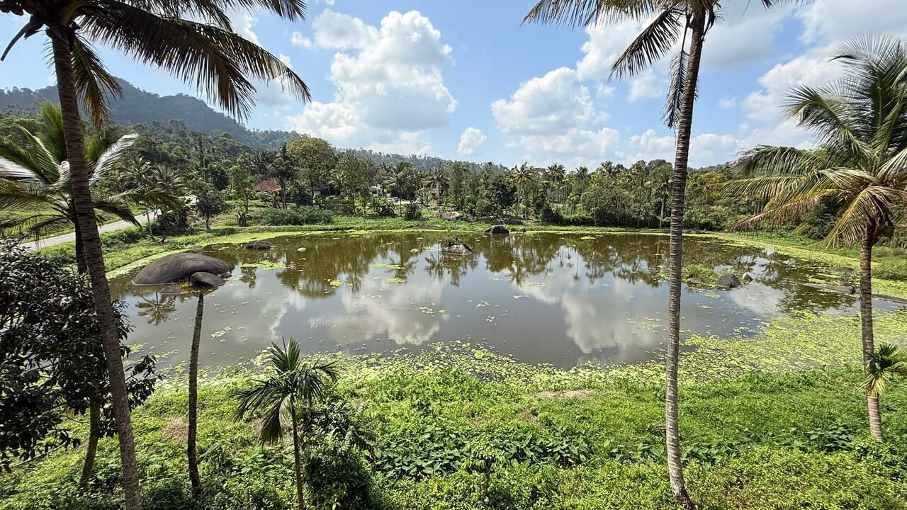 Photo of Outdoor in Kalpetta