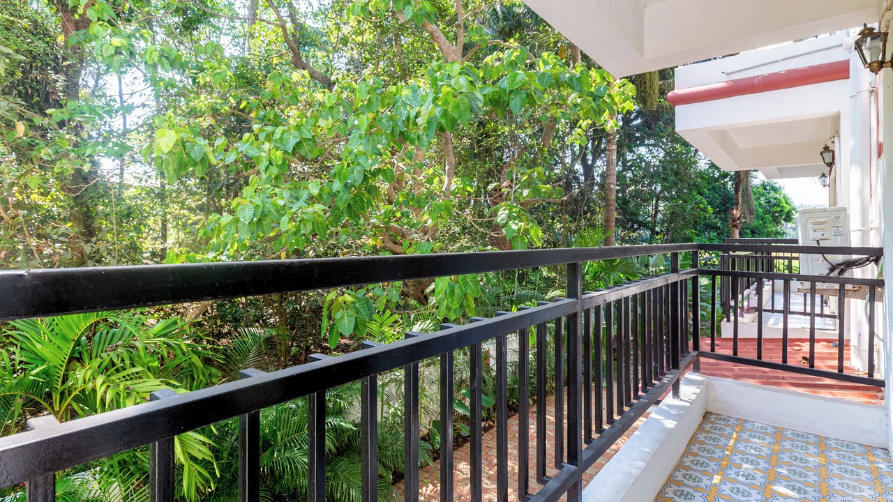 Photo of Outdoor in Siolim