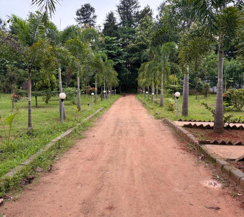 Photo of Others in Ninnimamidi