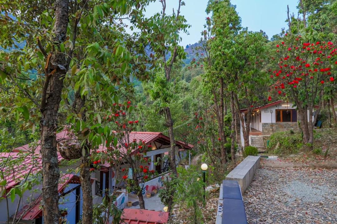Photo of Others in Mukteshwar