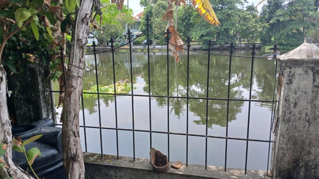 Photo of Others in Kakkanad