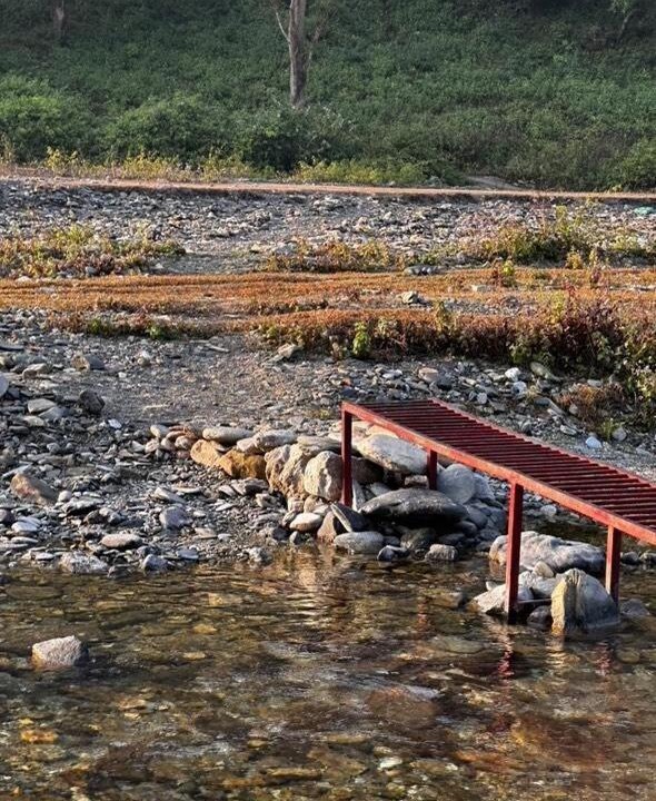 Photo of Others in Lansdowne