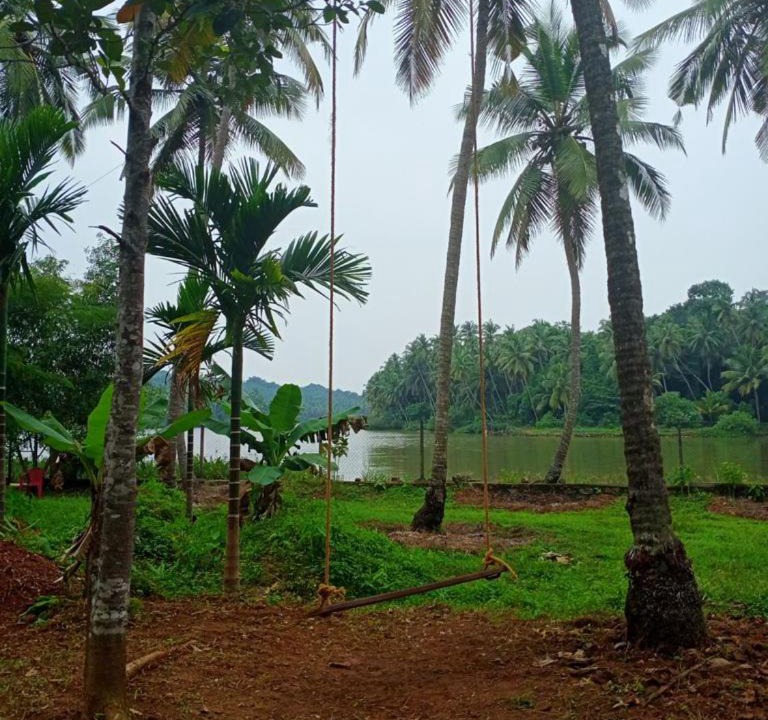 Photo of Others in Kozhikode