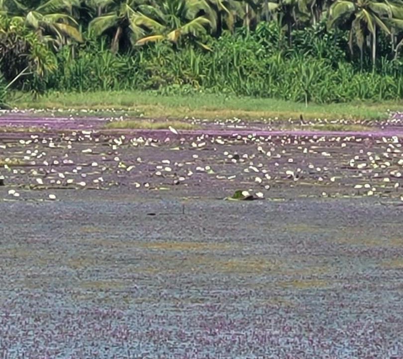 Photo of Others in Kozhikode